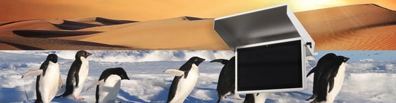 F16T_Websiteheader Pinguine Wüste